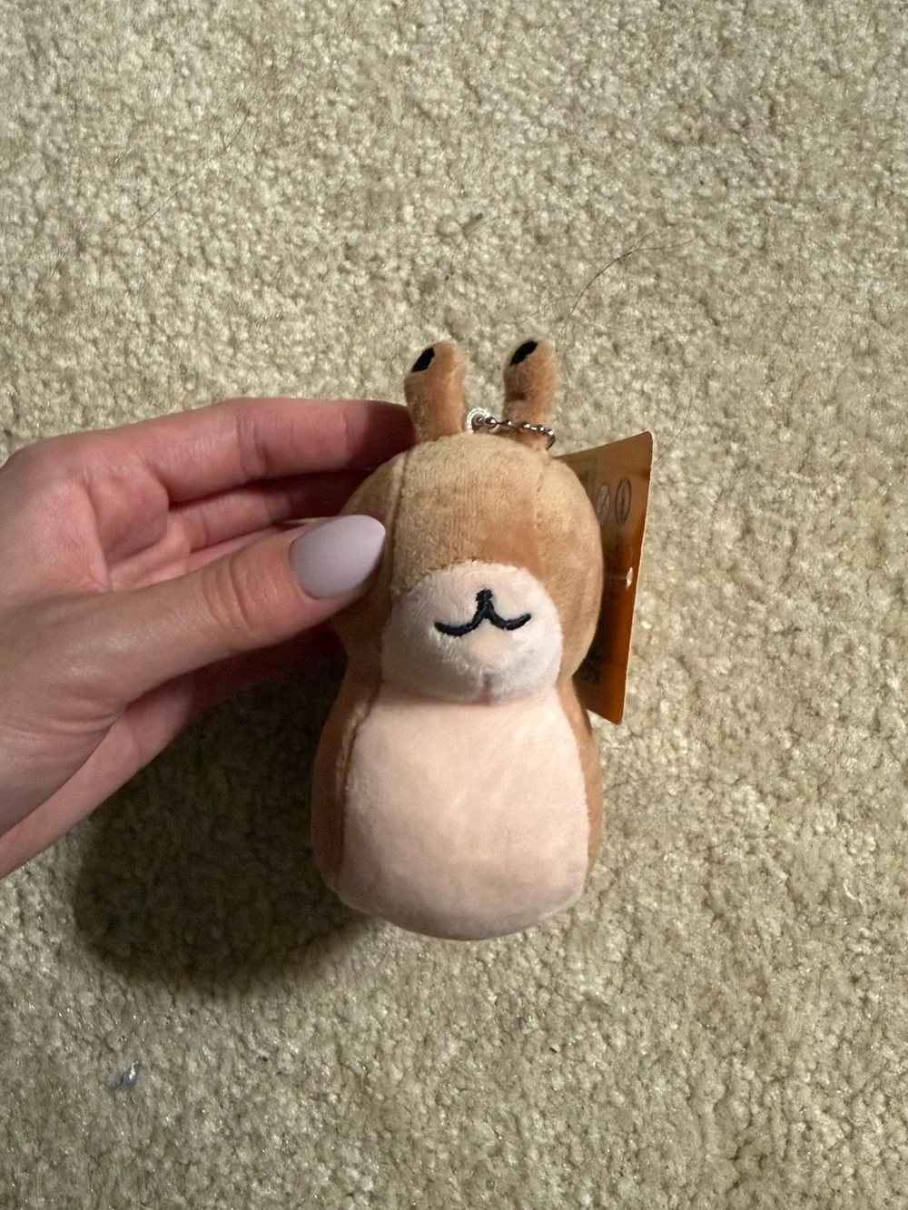 Plush Small Pet Keychain